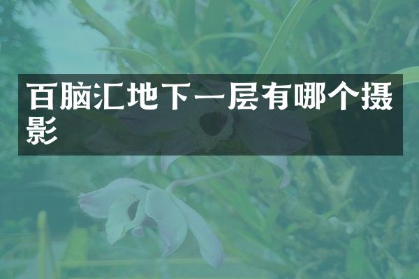 百脑汇地下一层有哪个摄影