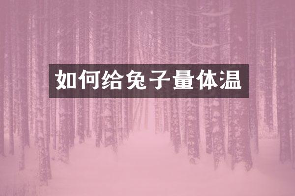 如何给兔子量体温