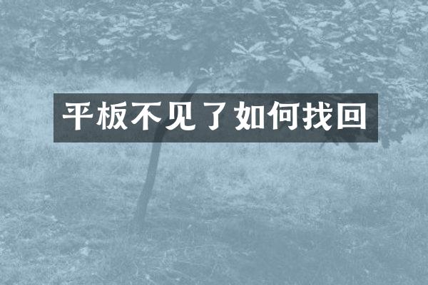 平板不见了如何找回