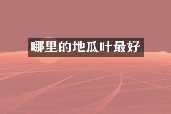 哪里的地瓜叶最好