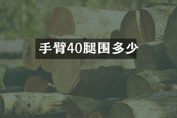 手臂40腿围多少