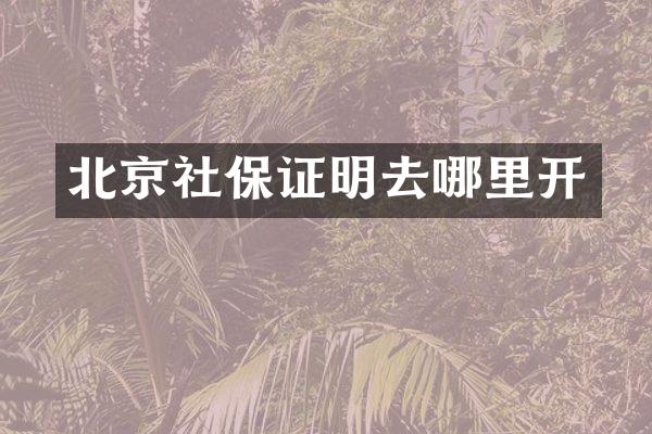 北京社保证明去哪里开
