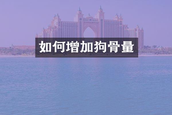如何增加狗骨量