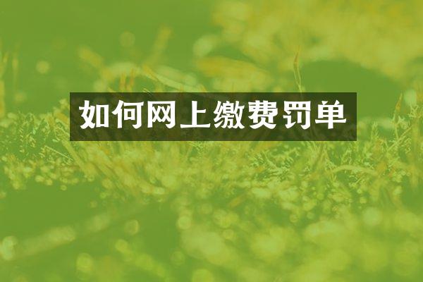 如何网上缴费罚单