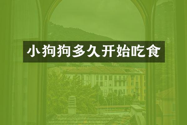 小狗狗多久开始吃食