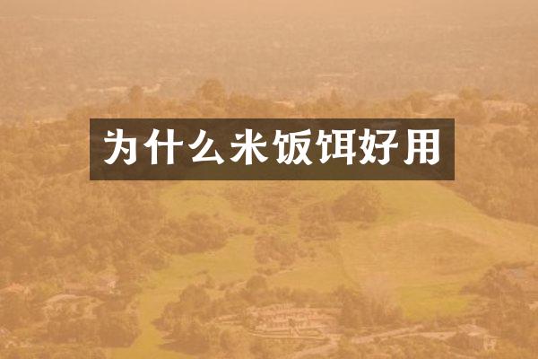 为什么米饭饵好用