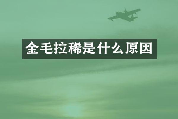 金毛拉稀是什么原因