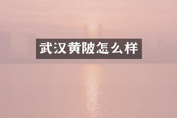 武汉黄陂怎么样