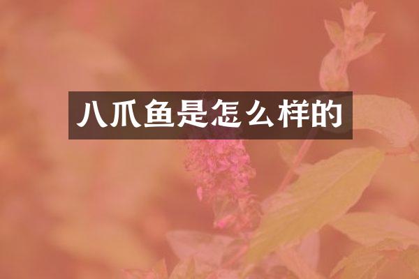 八爪鱼是怎么样的