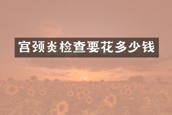 宫颈炎检查要花多少钱