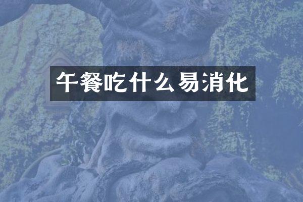 午餐吃什么易消化