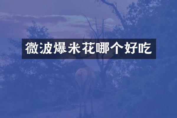 微波爆米花哪个好吃