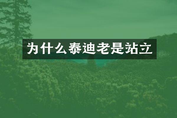为什么泰迪老是站立