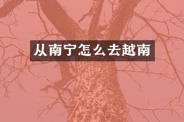 从南宁怎么去越南