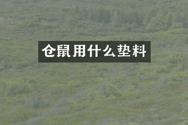 仓鼠用什么垫料
