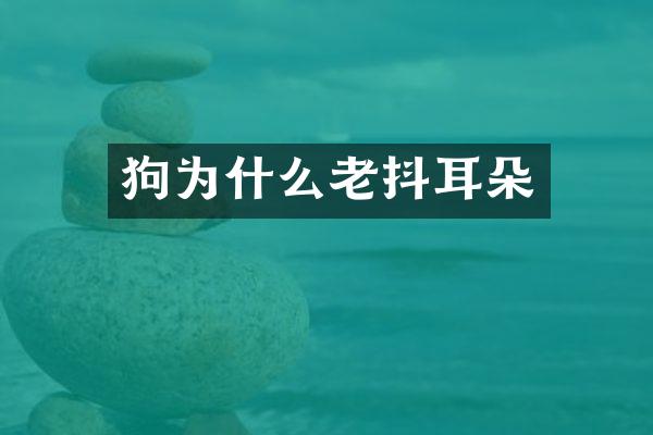 狗为什么老抖耳朵