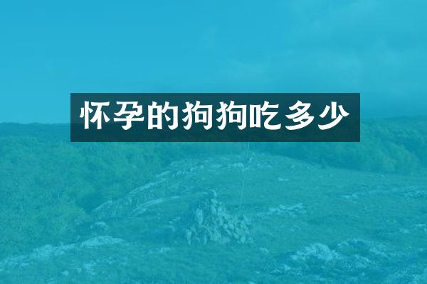 怀孕的狗狗吃多少