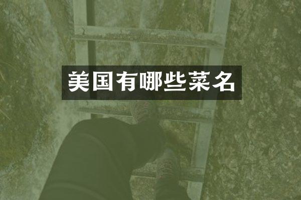 美国有哪些菜名