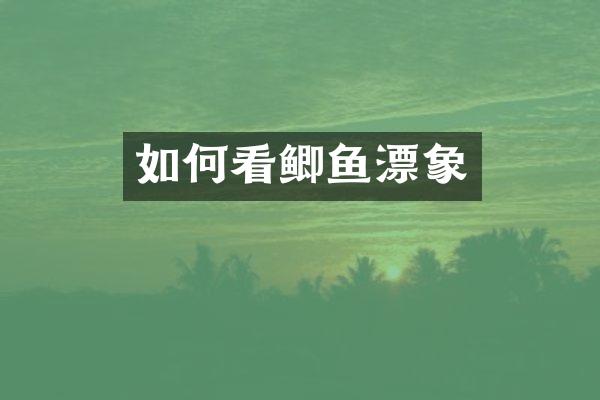 如何看鲫鱼漂象