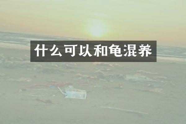 什么可以和龟混养