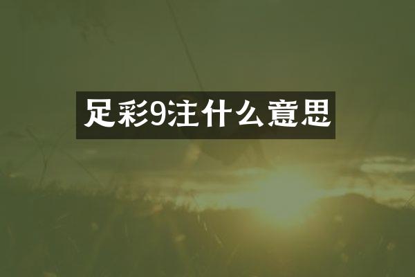 足彩9注什么意思