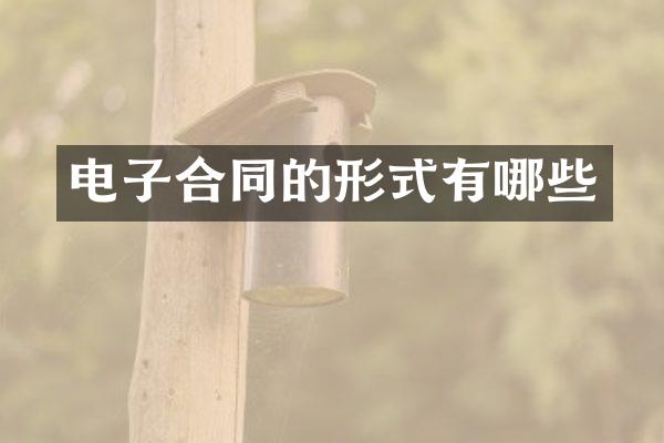 电子合同的形式有哪些