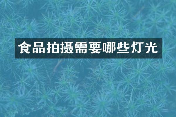 食品拍摄需要哪些灯光