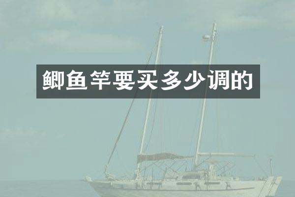 鲫鱼竿要买多少调的