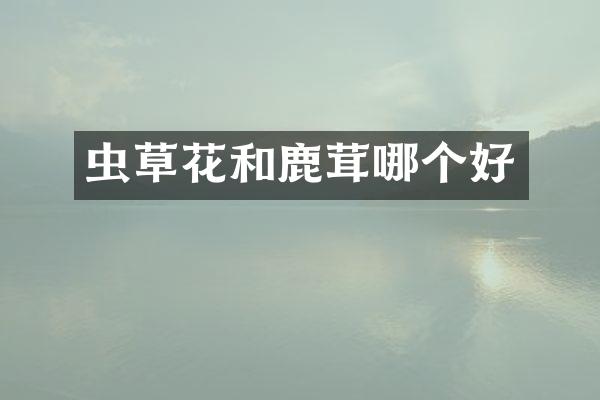 虫草花和鹿茸哪个好