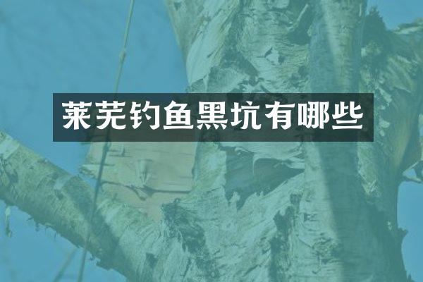 莱芜钓鱼黑坑有哪些