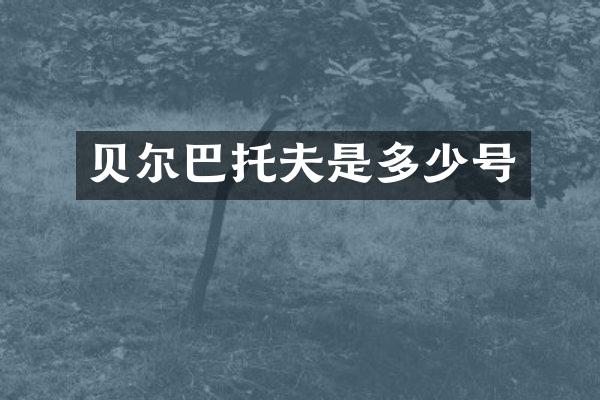 贝尔巴托夫是多少号