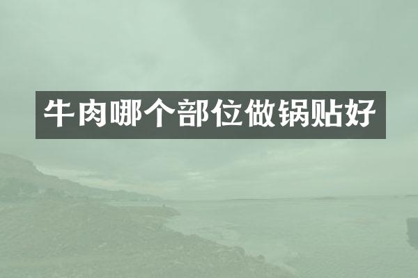 牛肉哪个部位做锅贴好