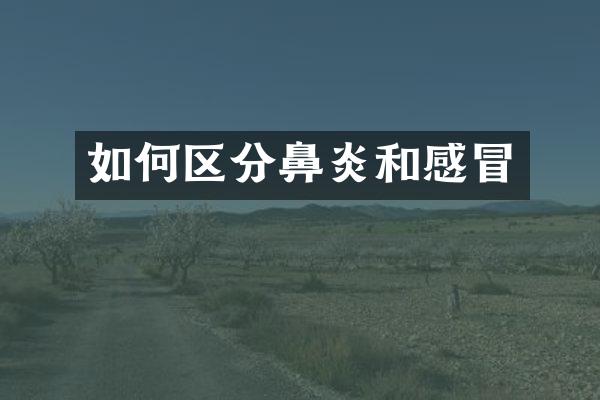 如何区分鼻炎和感冒