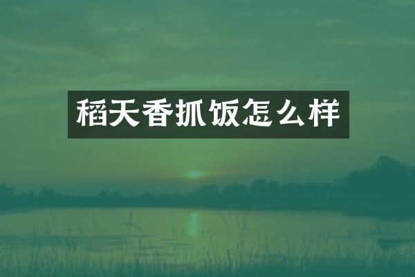 稻天香抓饭怎么样