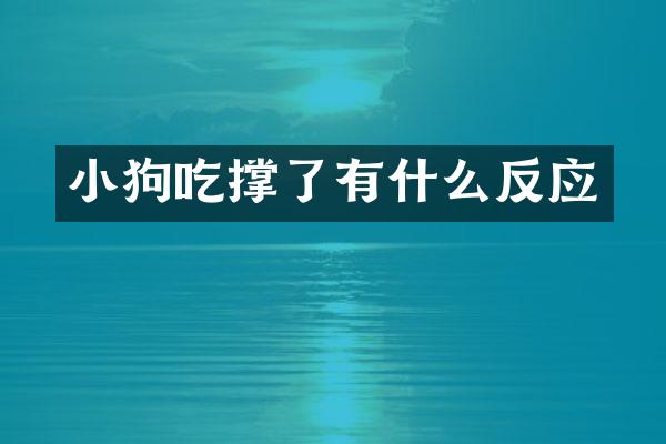 小狗吃撑了有什么反应