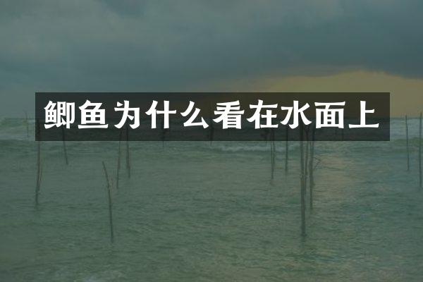 鲫鱼为什么看在水面上