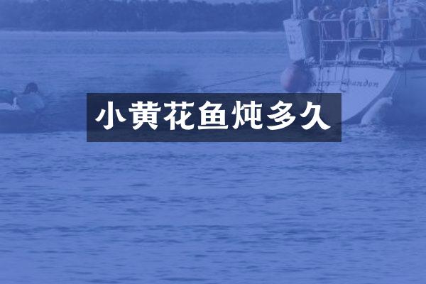 小黄花鱼炖多久