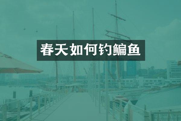 春天如何钓鳊鱼