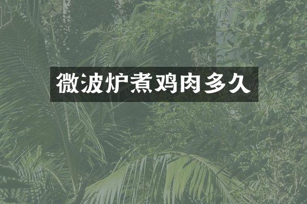 微波炉煮鸡肉多久