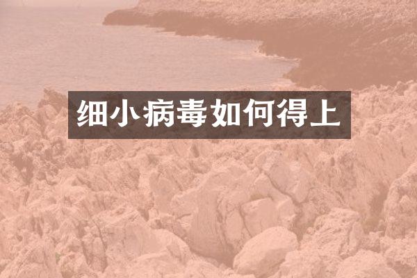 细小病毒如何得上