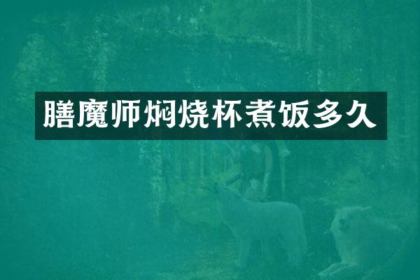 膳魔师焖烧杯煮饭多久
