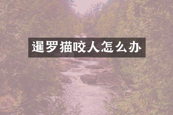 暹罗猫咬人怎么办