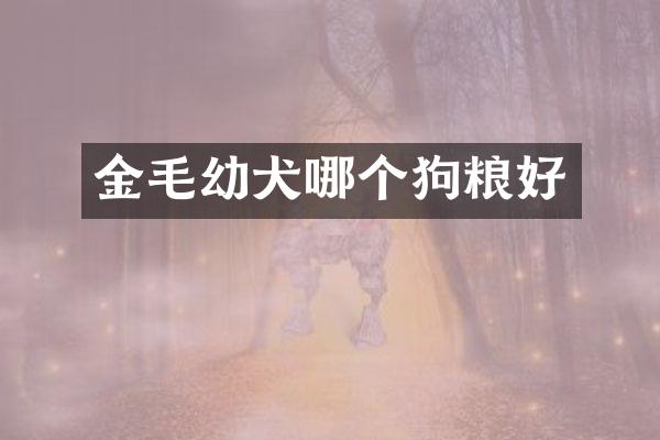 金毛幼犬哪个狗粮好