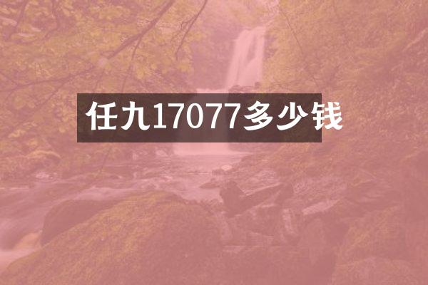 任九17077多少钱