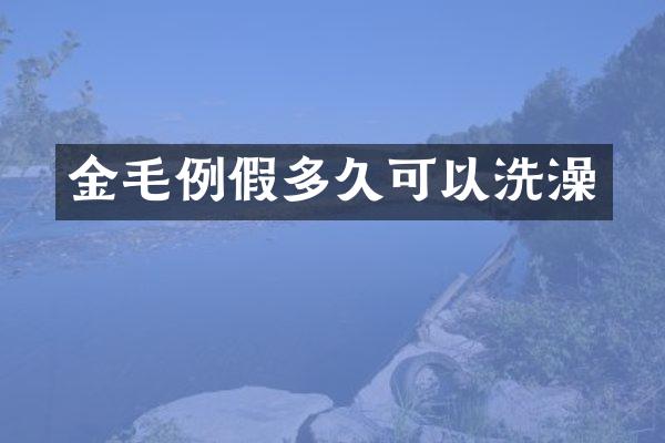 金毛例假多久可以洗澡