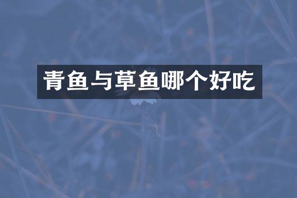青鱼与草鱼哪个好吃