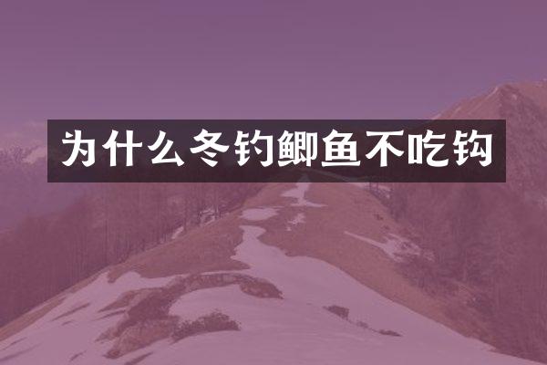 为什么冬钓鲫鱼不吃钩