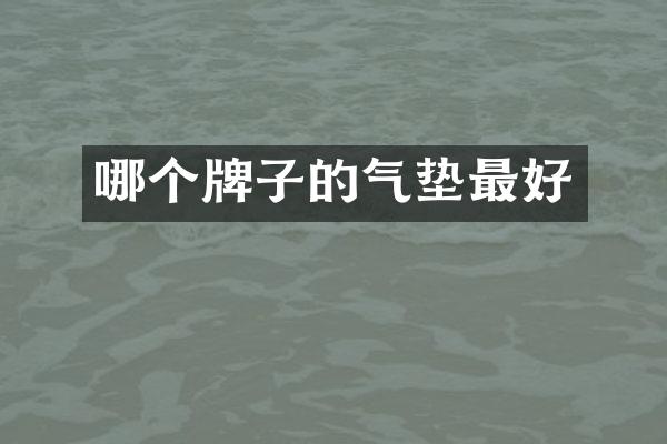 哪个牌子的气垫最好
