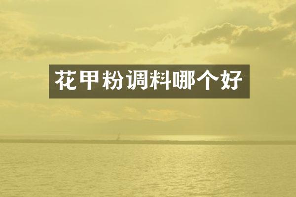 花甲粉调料哪个好