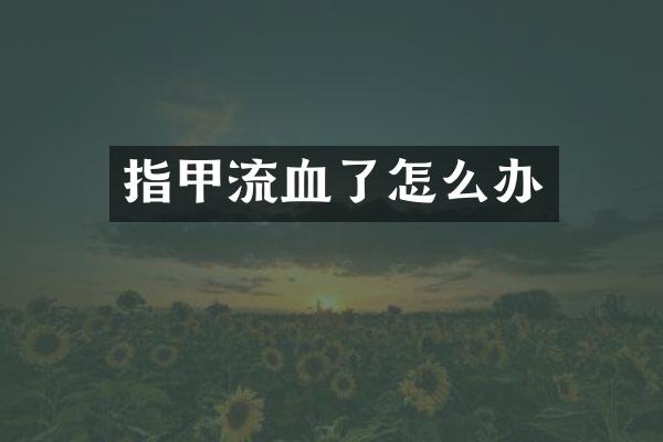 指甲流血了怎么办